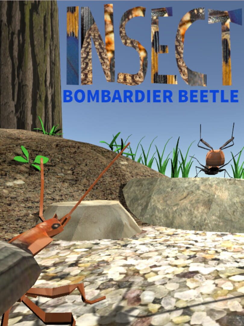 Insect: Bombardier beetle