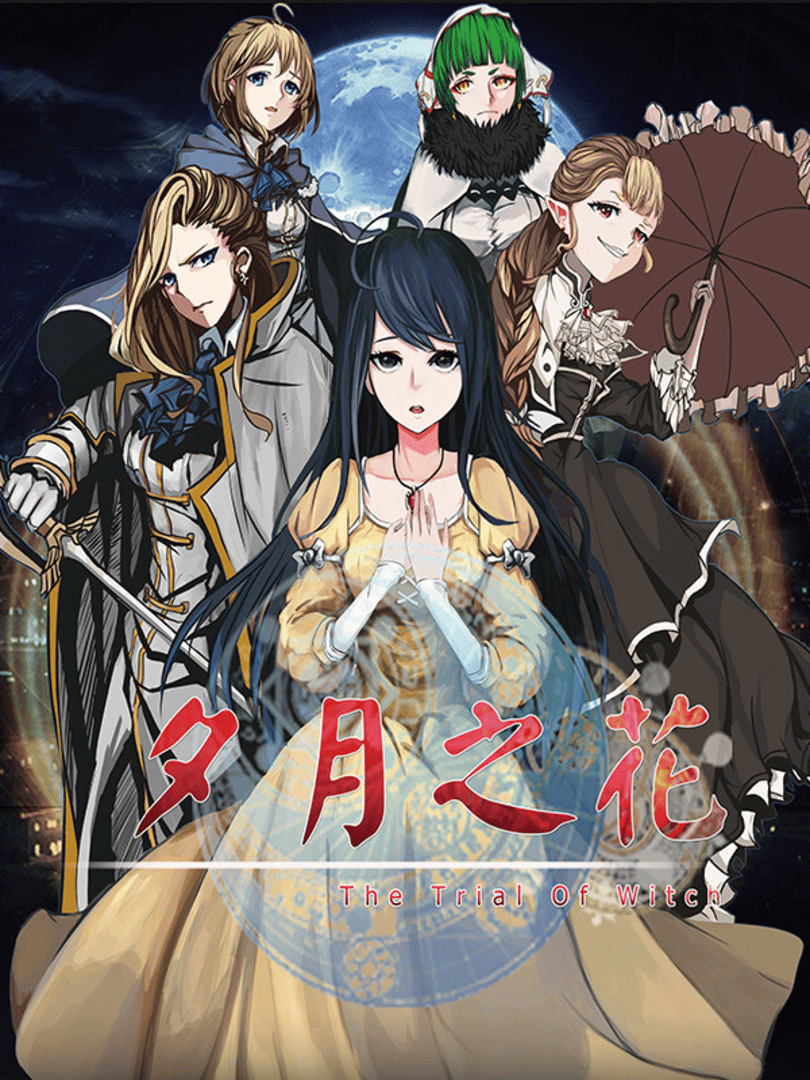 The trial of witch Cover