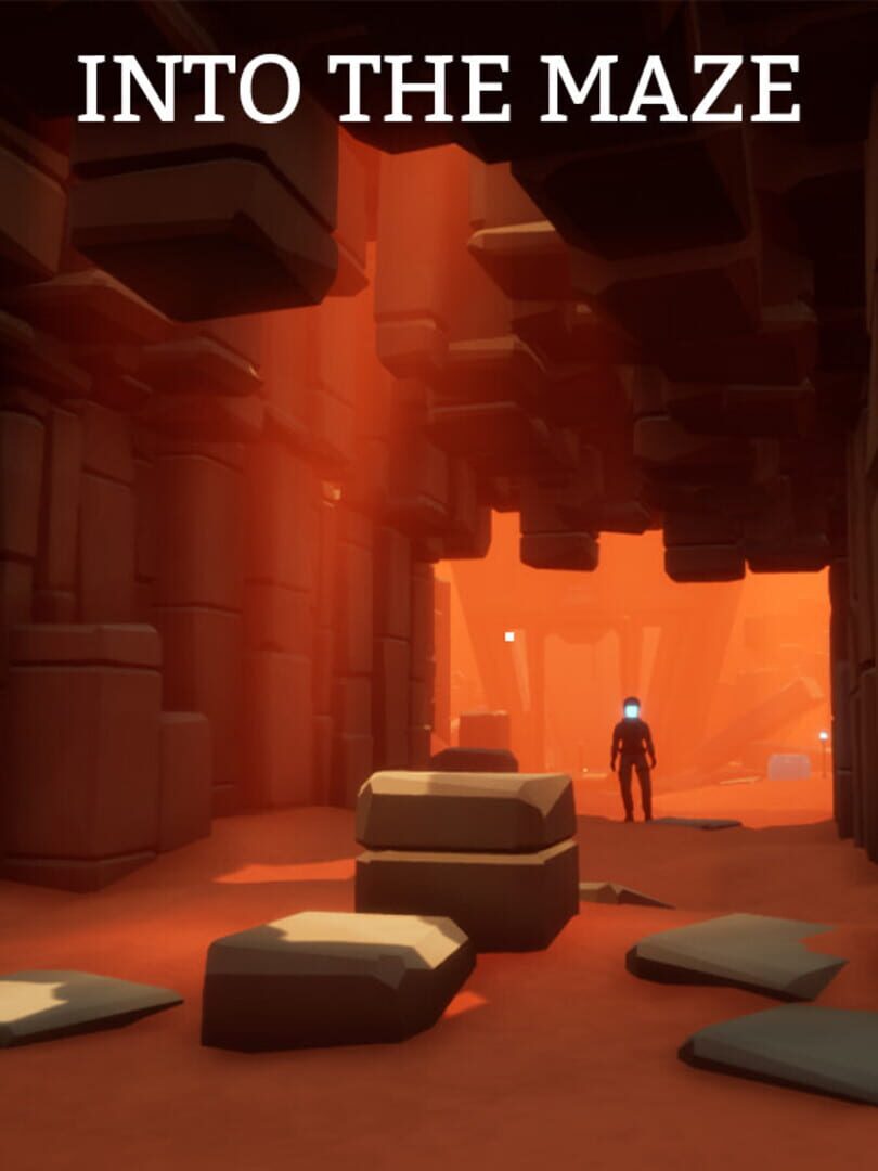 Into the Maze