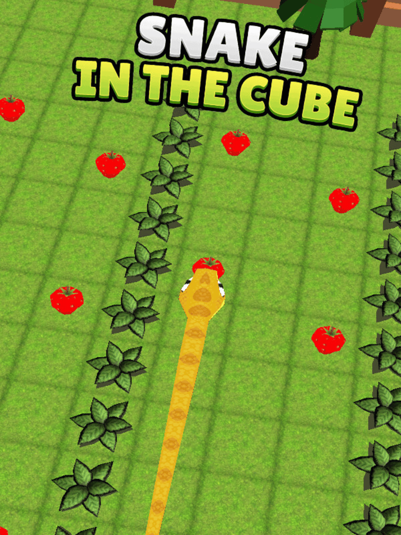 Snake in the Cube Cover