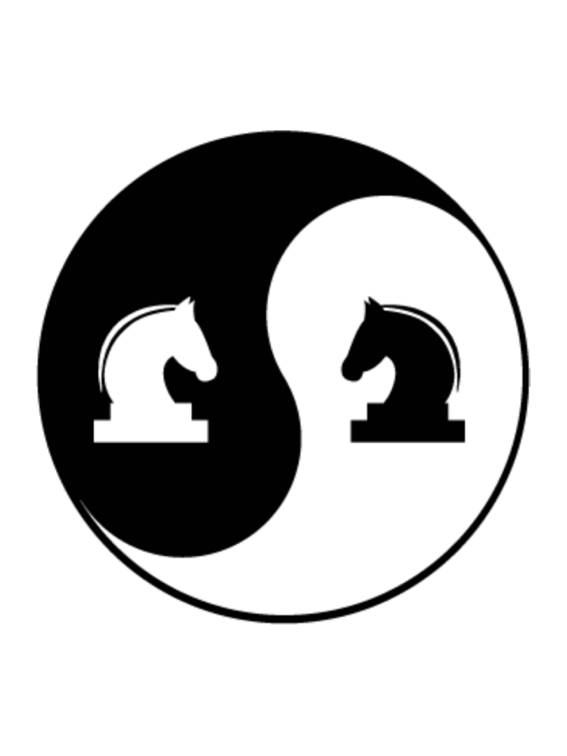 Kung Fu Chess Cover