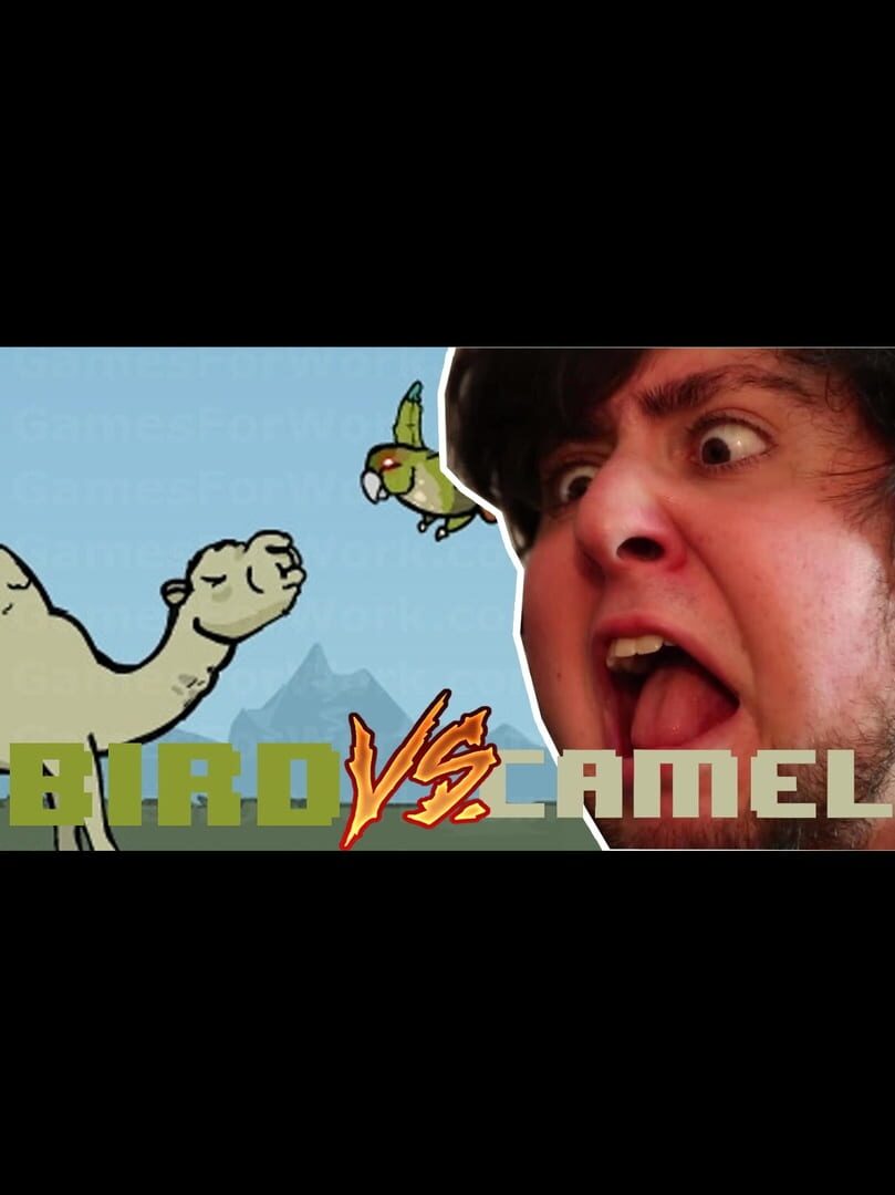 JonTron: Bird vs. Camel (2015)