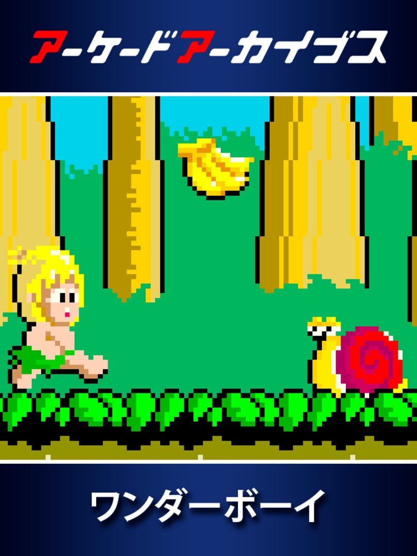 Arcade Archives: Wonder Boy (2014)