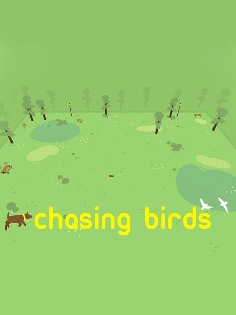 Chasing Birds Cover