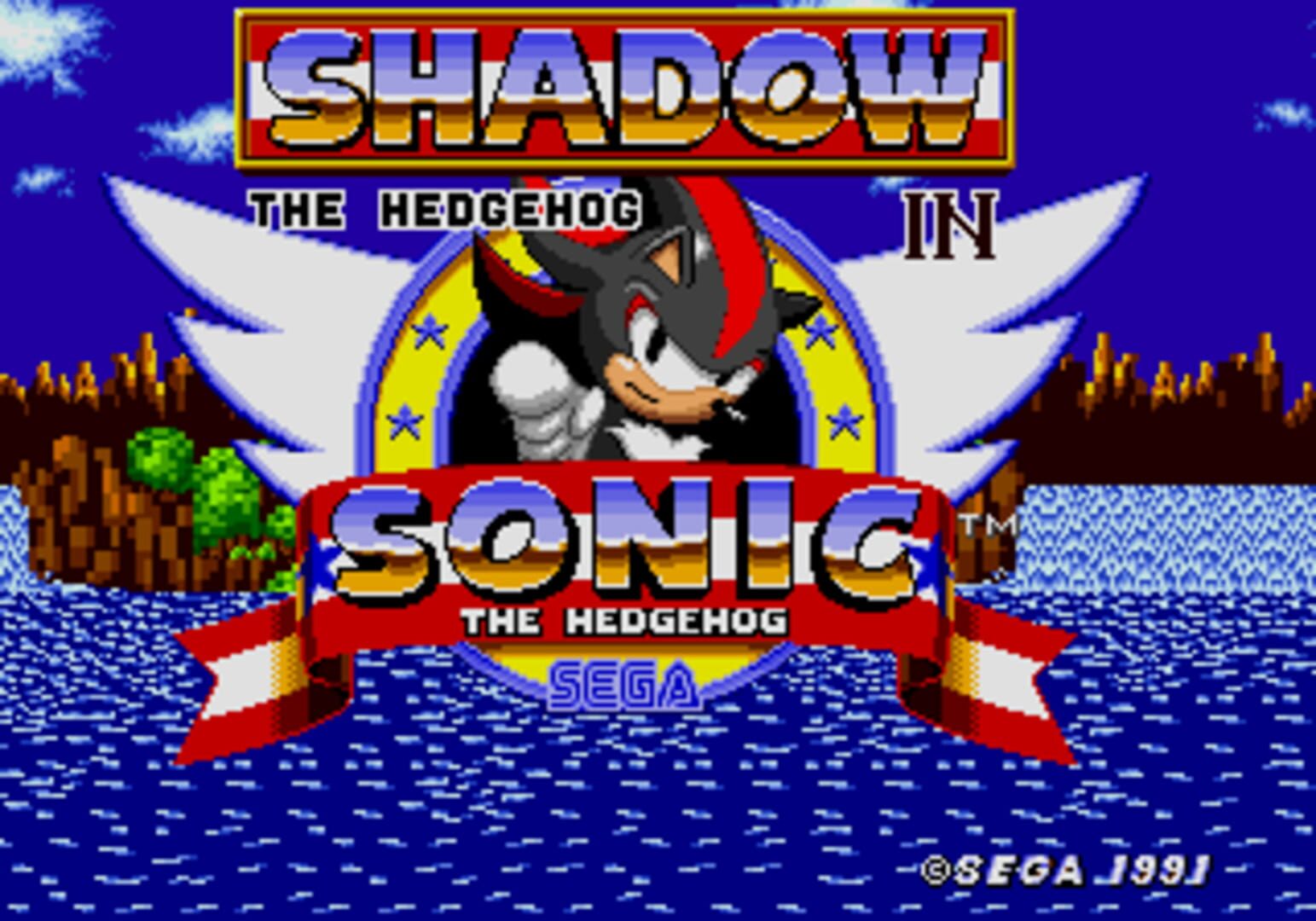 (Another) Shadow the Hedgehog in Sonic the Hedgehog (2019)