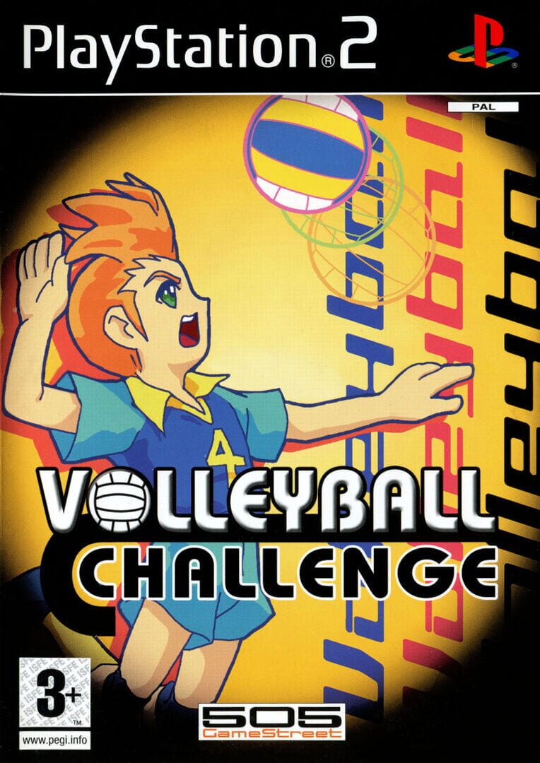 Volleyball Challenge