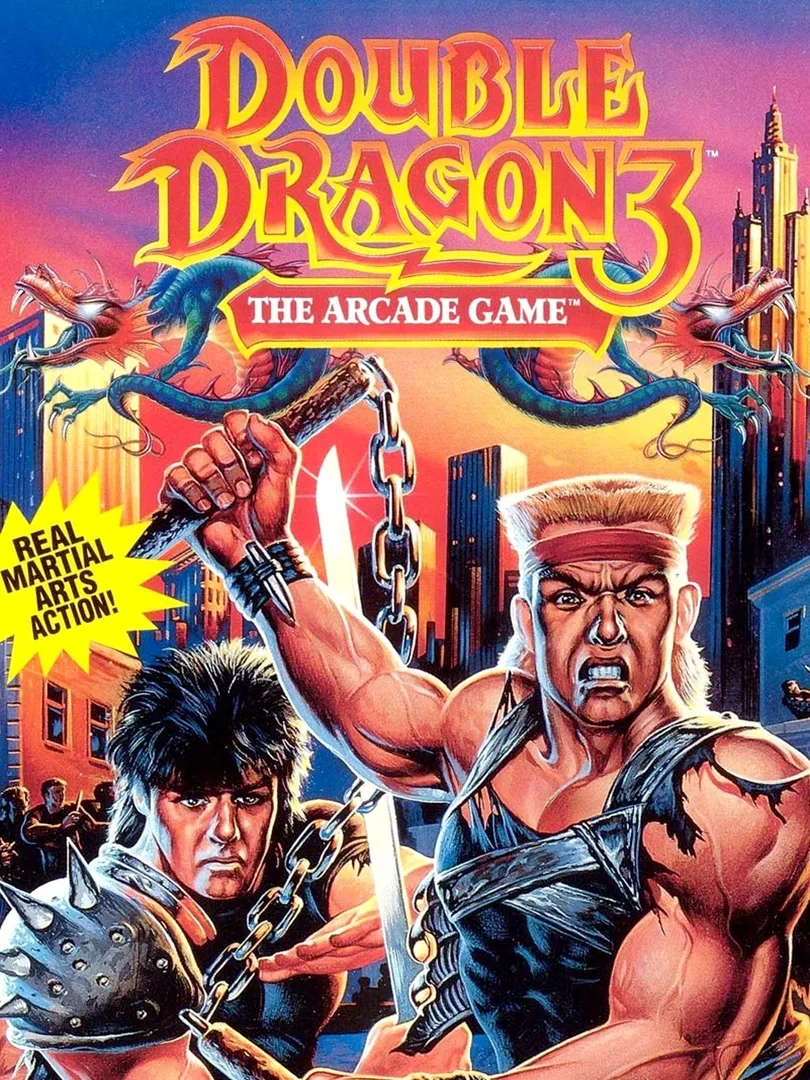 Double Dragon 3: The Arcade Game