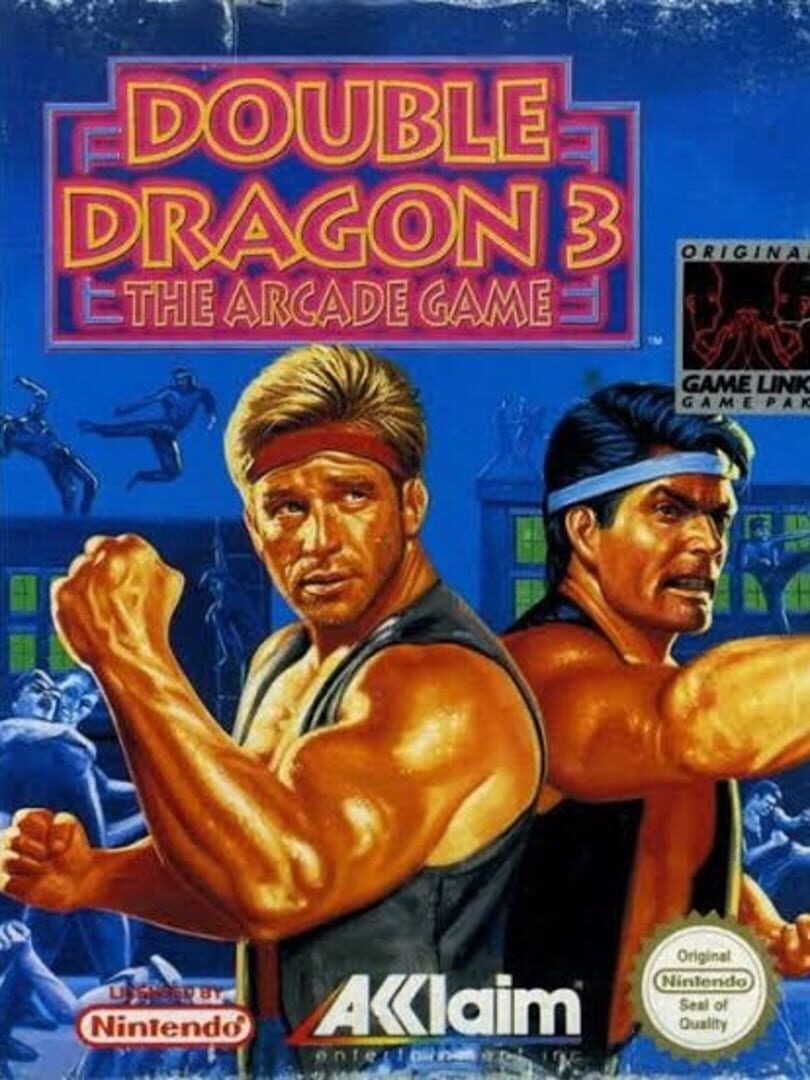 Double Dragon 3: The Arcade Game (1993)