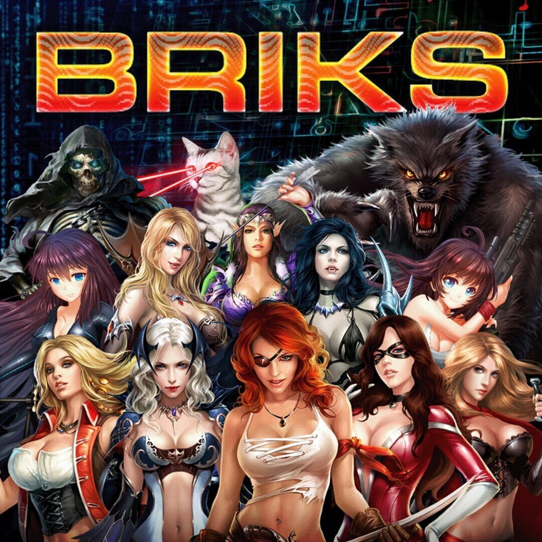 Briks (2017)