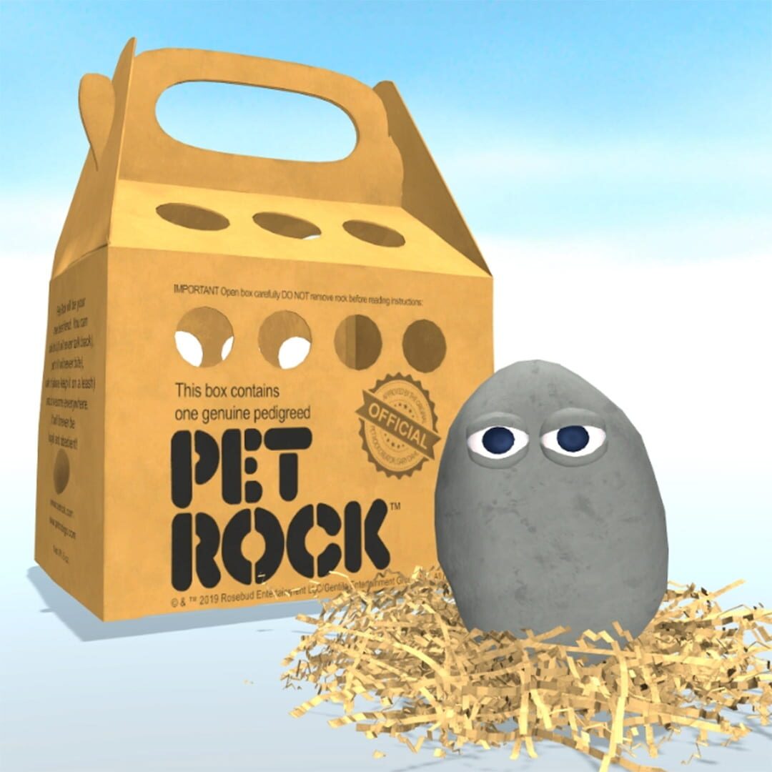 Pet Rock (2022)