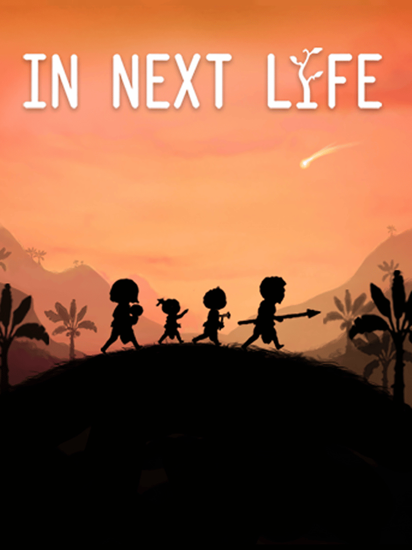 In Next Life Cover