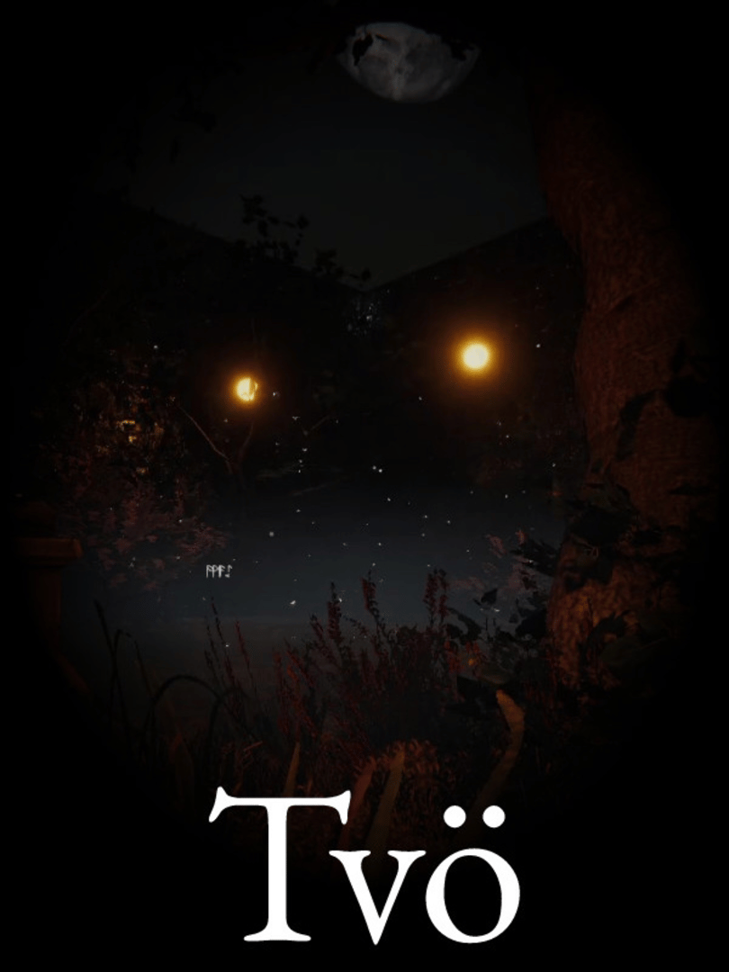 Tvö Cover