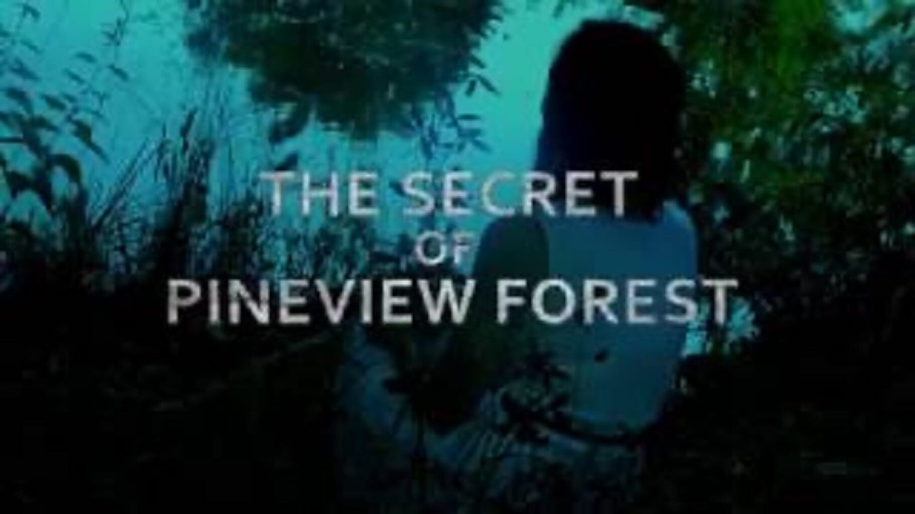 The Secret of Pineview Forest