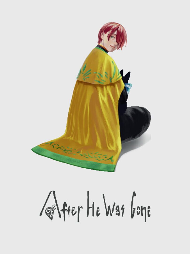 Cover image of After He Was Gone