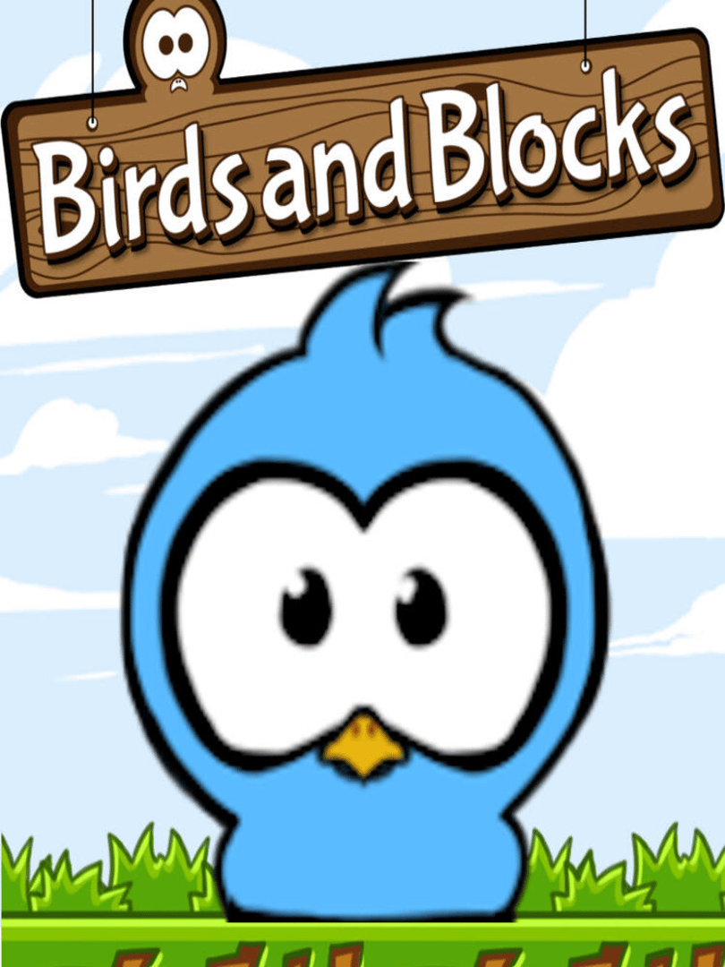 Birds and Blocks Cover