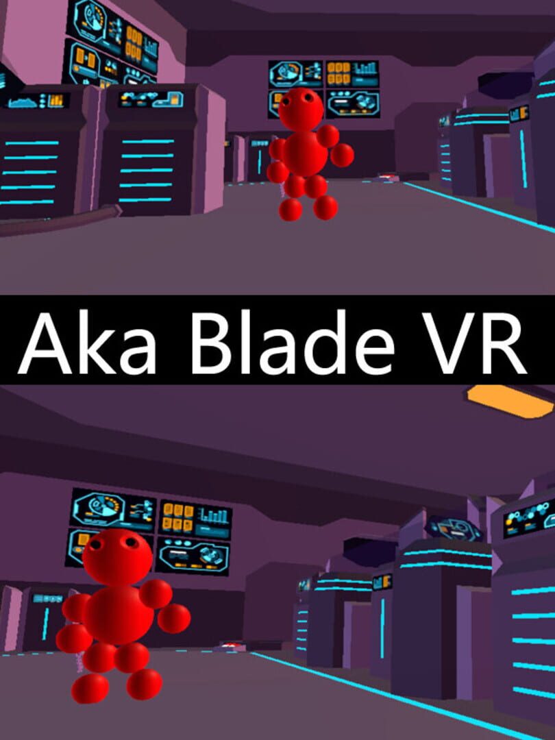 Aka Ninja VR