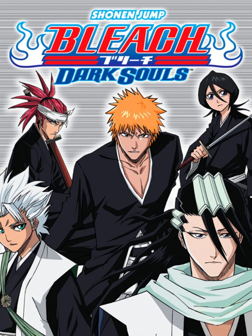 Bleach DS