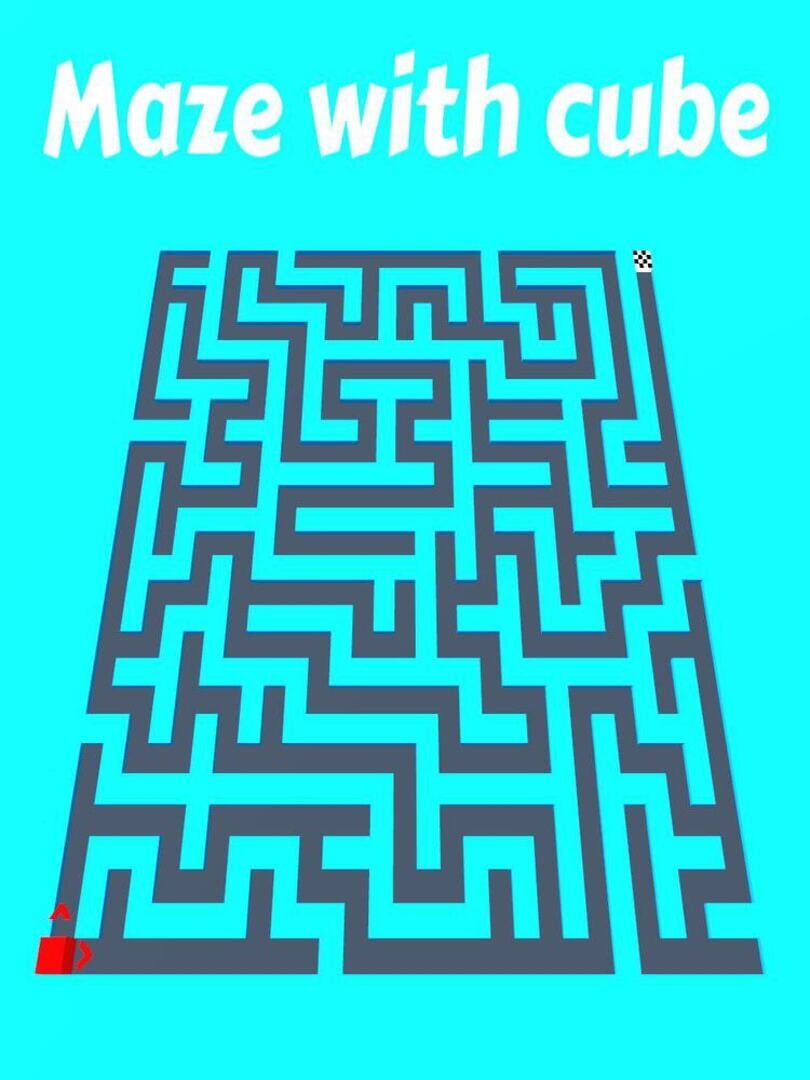 Maze with cube