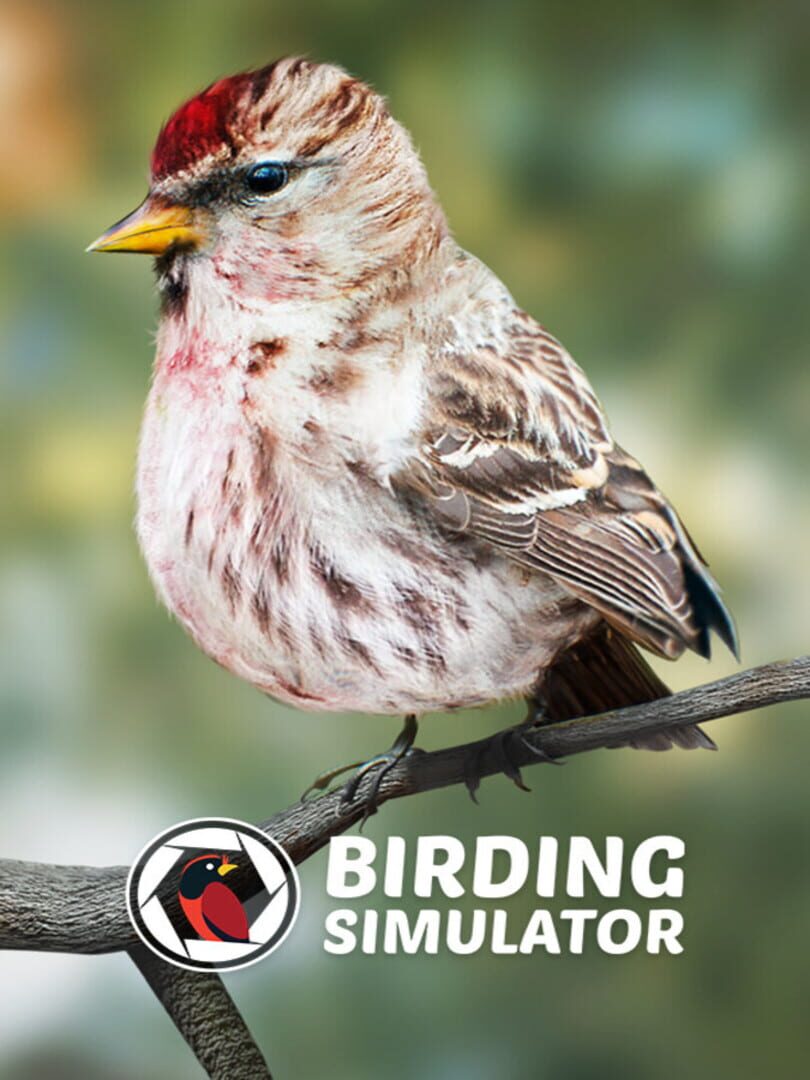 Birding Simulator