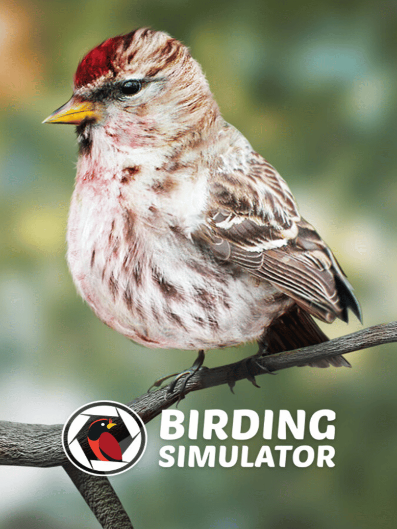 Birding Simulator Cover