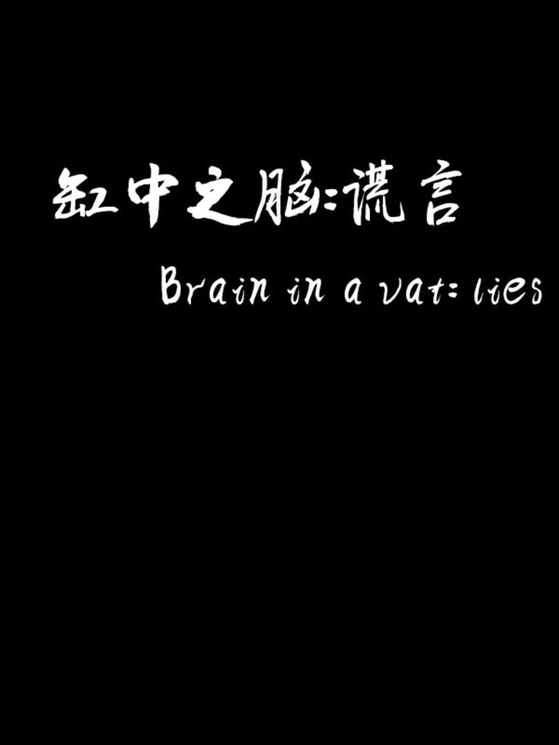 Brain in a Vat Lies