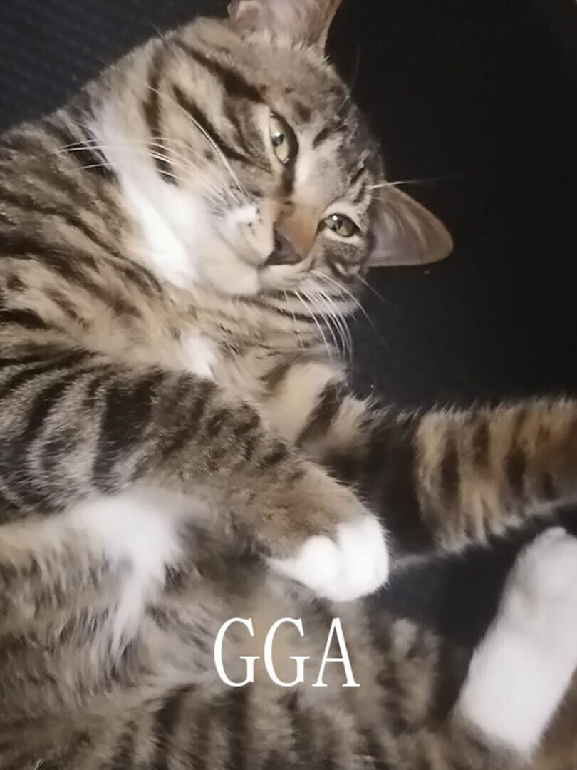 Gga