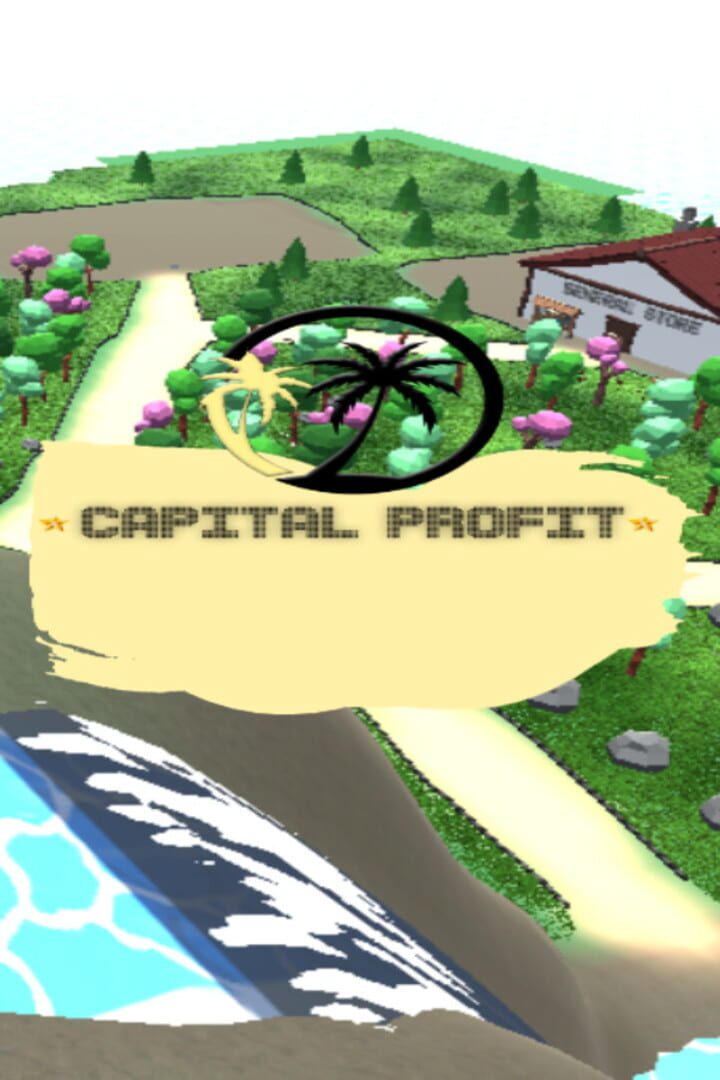 Capital Profit