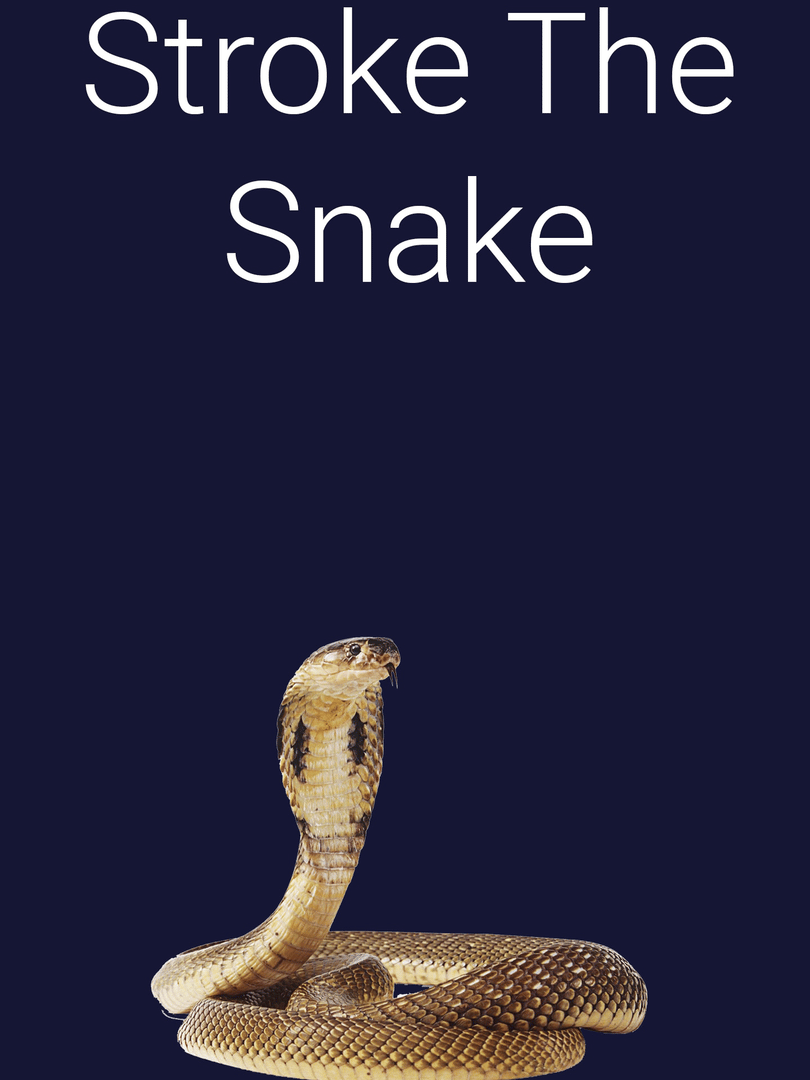 Stroke the Snake Cover