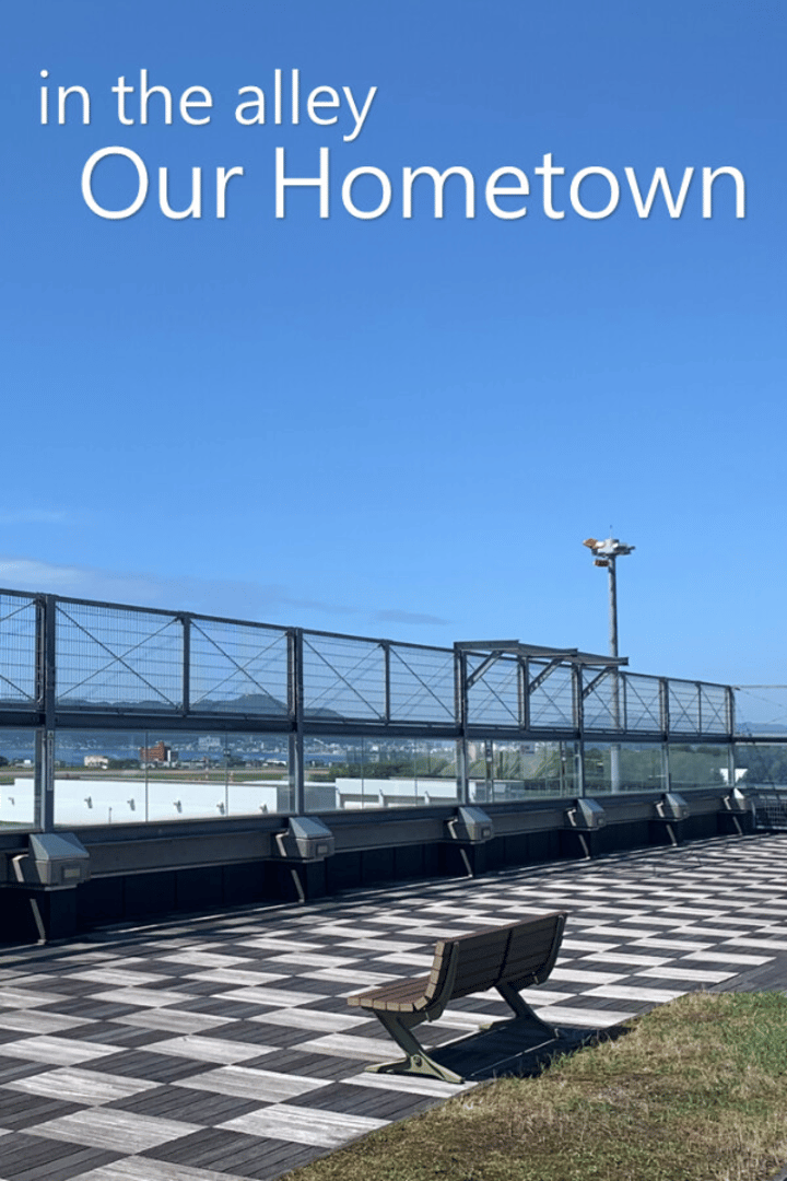 In the alley: Our hometown Cover