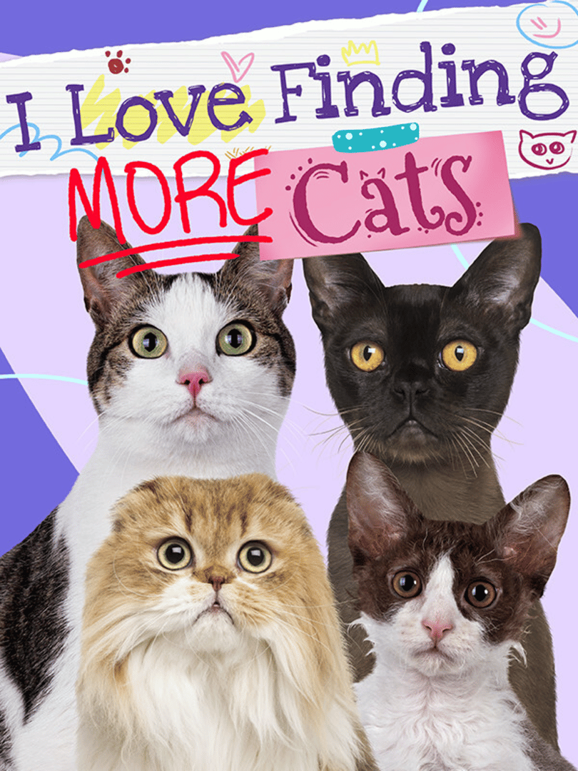 I Love Finding More Cats Cover