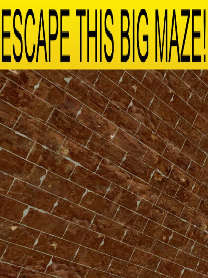 Escape This Big Maze!