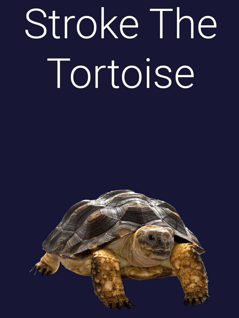 Stroke the Tortoise (2022)