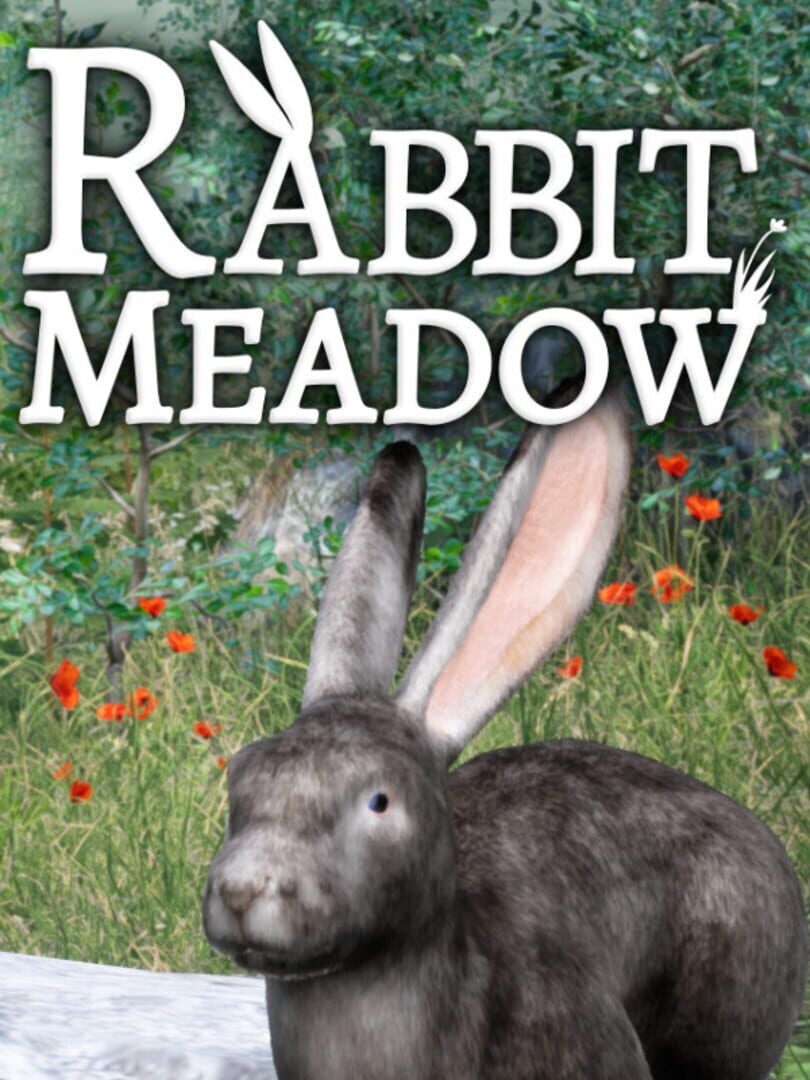 Rabbit Meadow