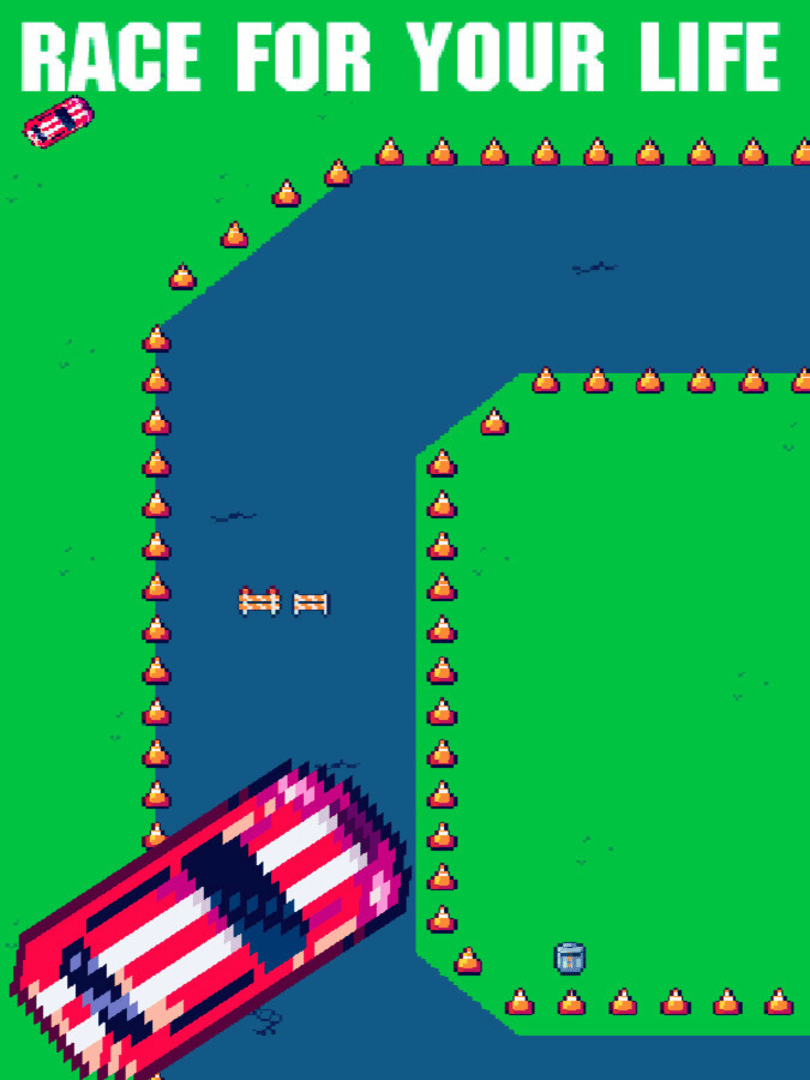 Race for Your Life Cover