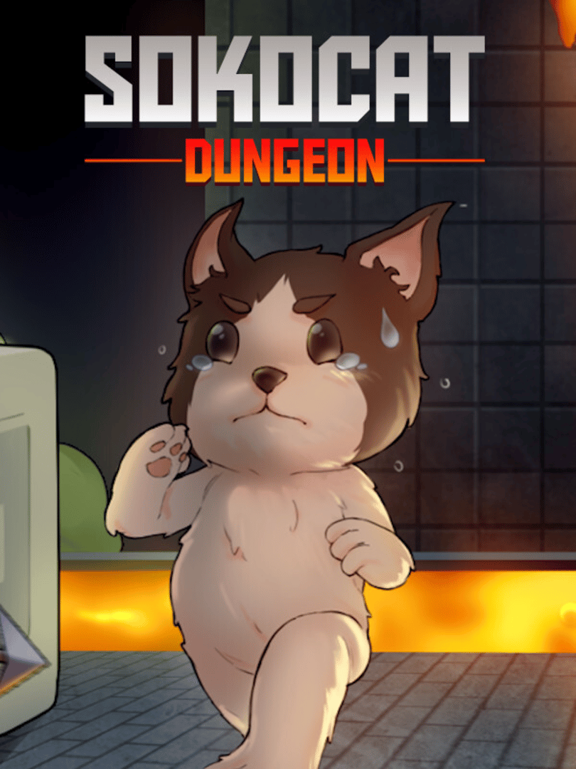 Sokocat: Dungeon Cover