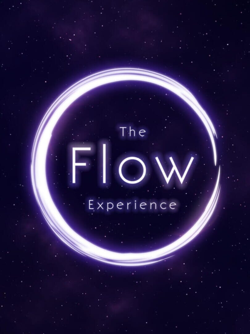 The Flow Experience