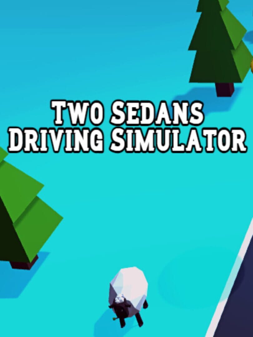 Two Sedans Driving Simulator (2022)