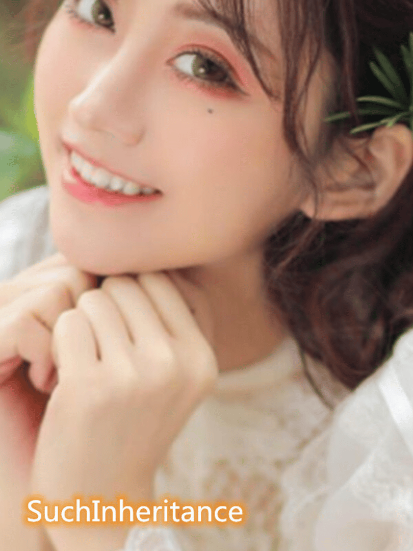 SuchInheritance Cover