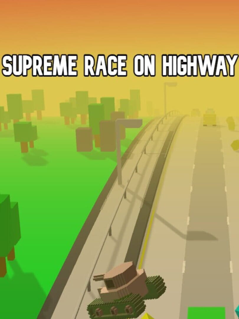 Supreme Race on Highway (2022)