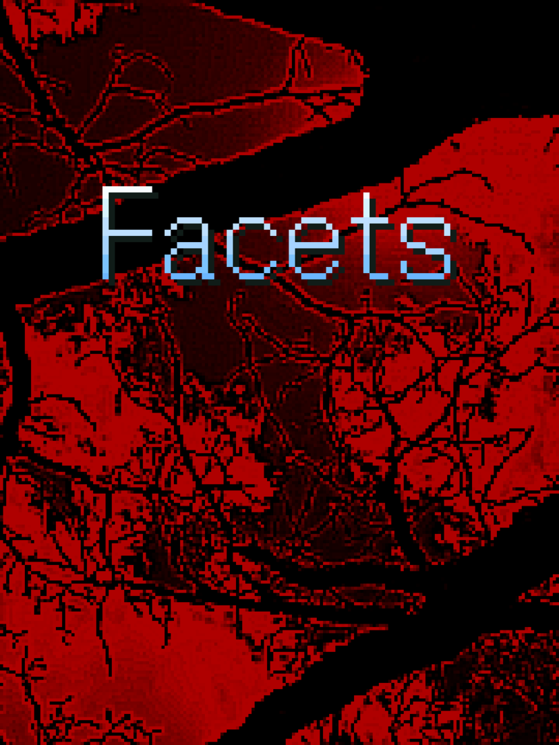 Facets Cover