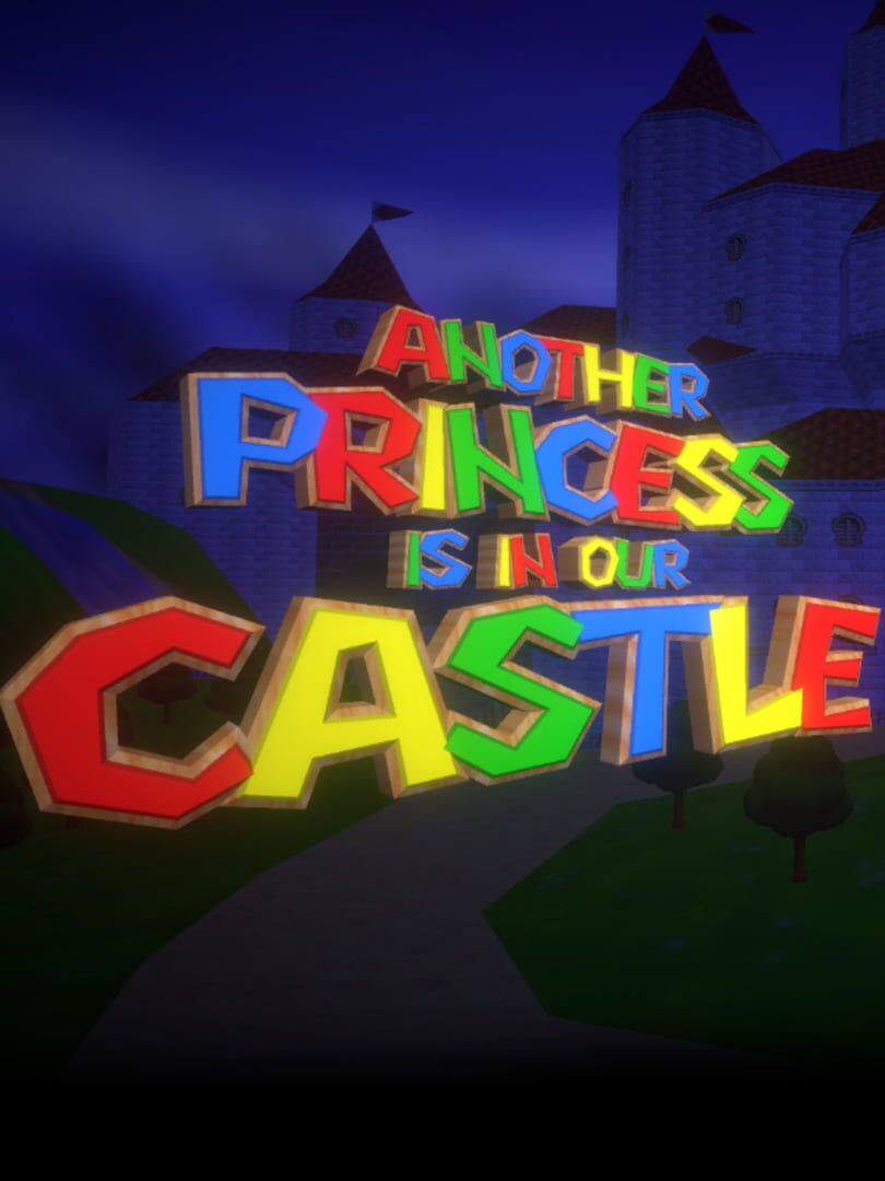 Cover image of Another Princess is in our Castle