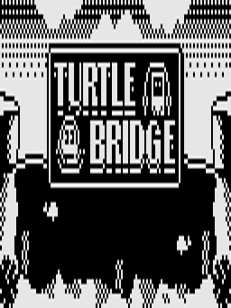 Turtle Bridge (2019)