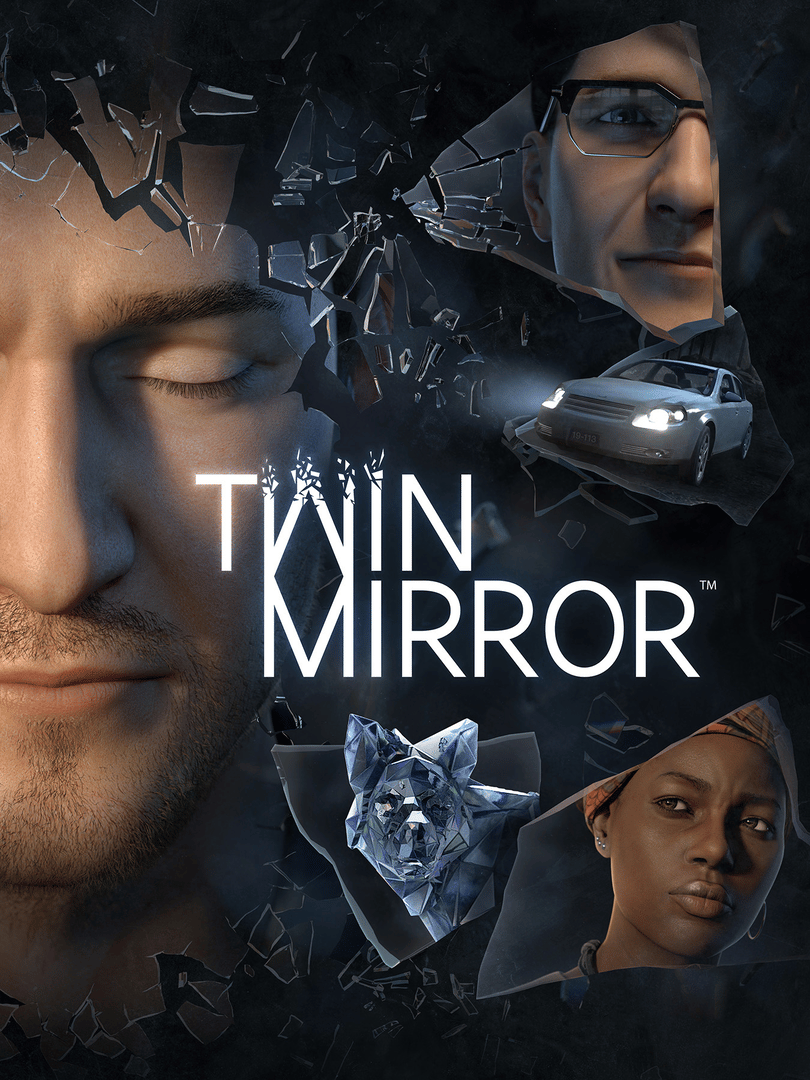 Twin Mirror Cover