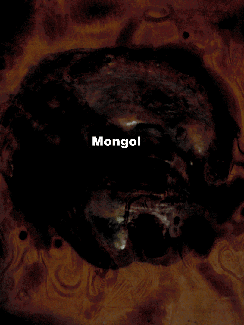 Mongol Cover