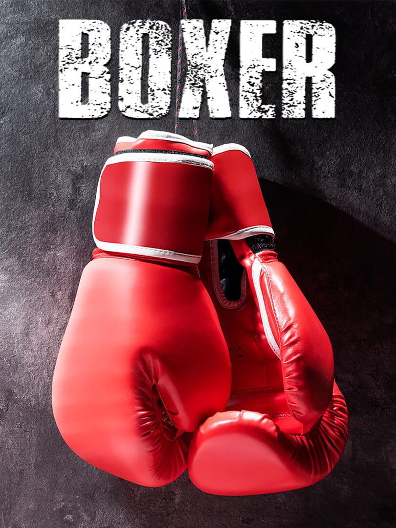 Boxer (2022)