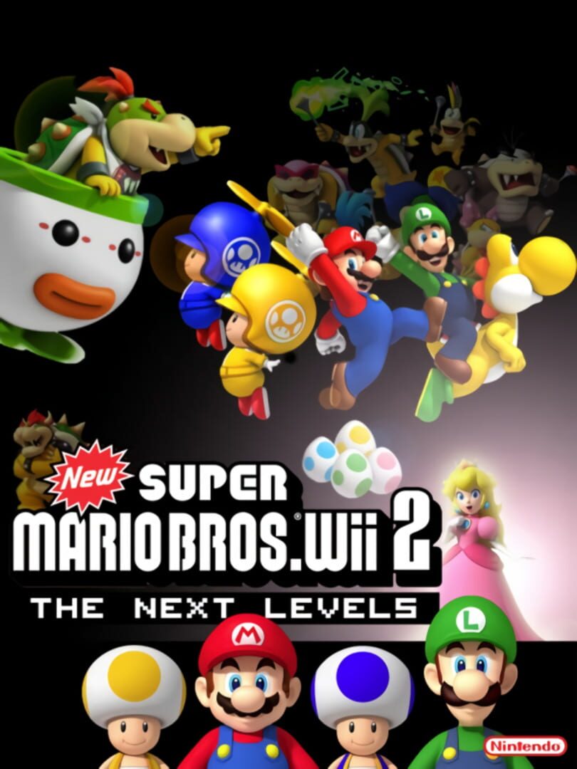 New Super Mario Bros. Wii 2: The Next Levels (2010)