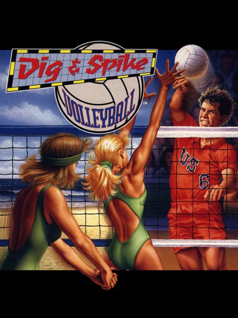 Dig & Spike Volleyball (1992)