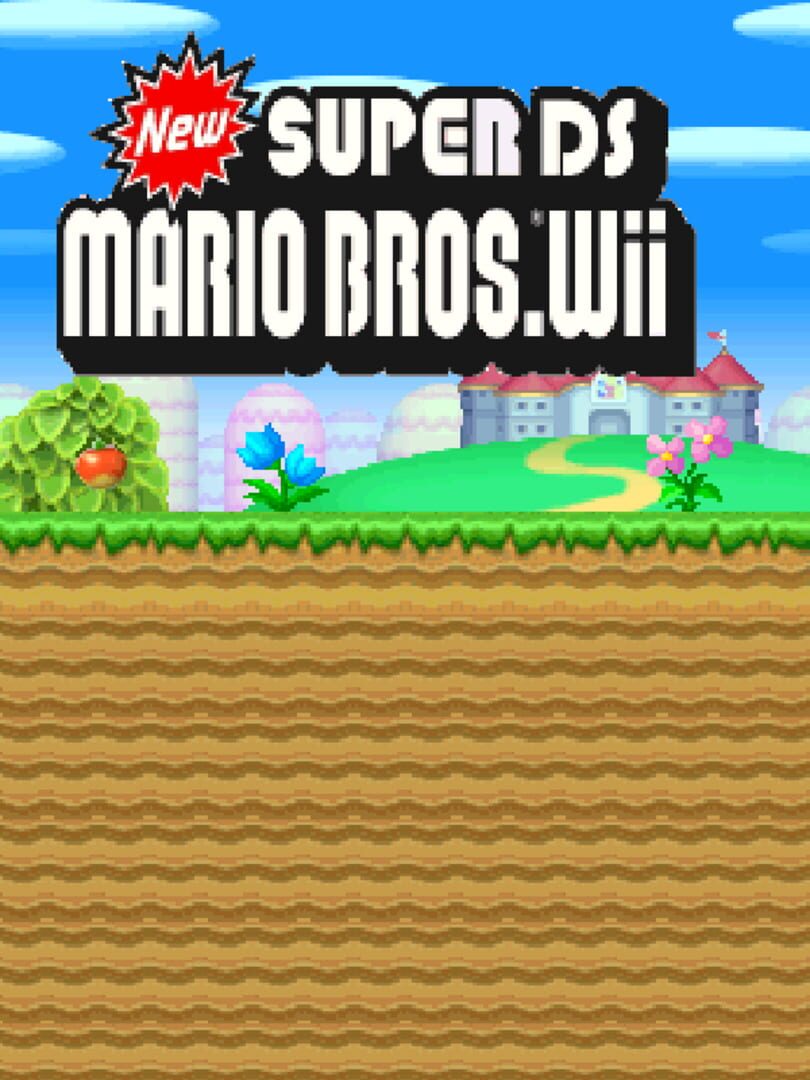 New Super Mario Bros. Wii. DS (2019)