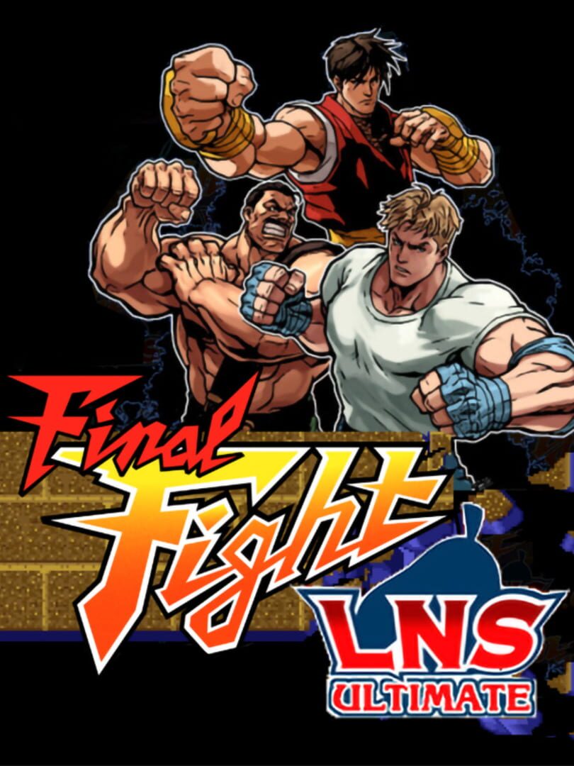 Cover image of Final Fight LNS Ultimate