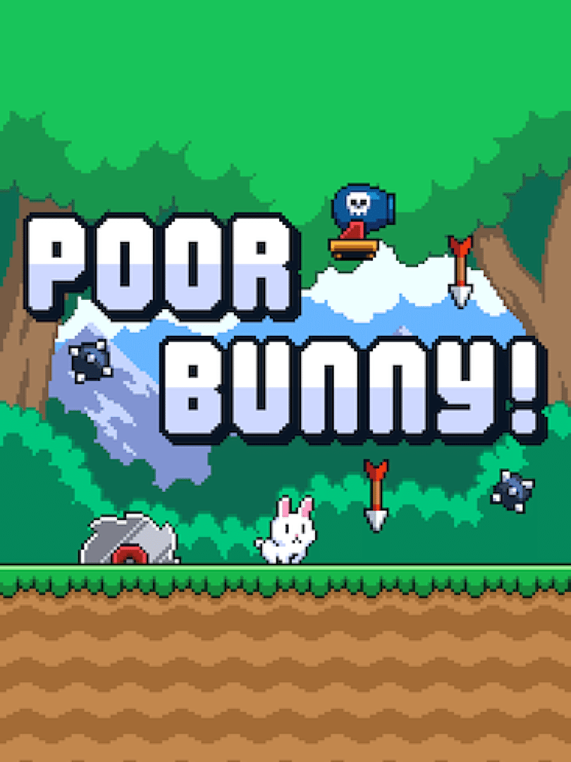 Poor Bunny! Cover